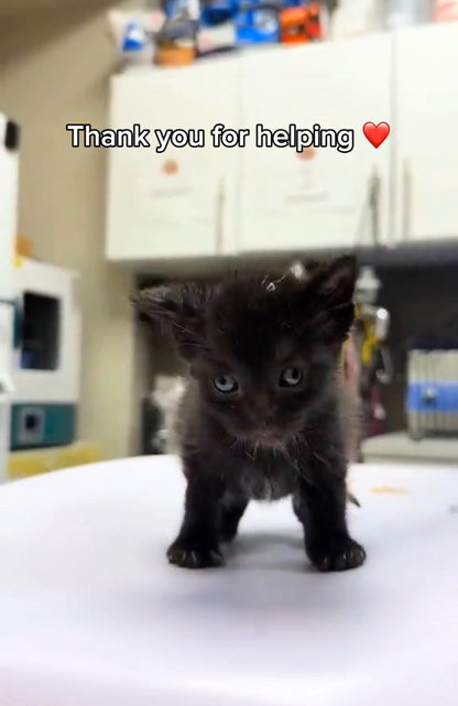 Support our mission with donationss